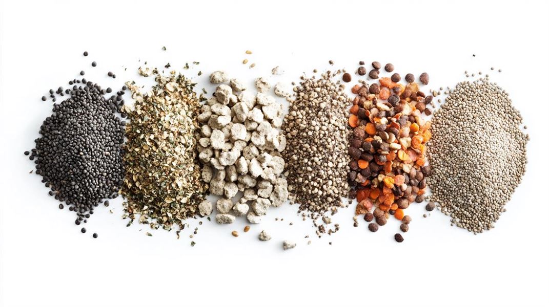 Mash til heste - en guide til bedre fordøjelse og velvære